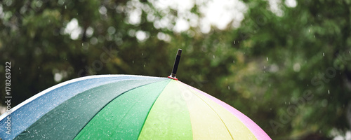 The panorama of umbrella in rainbow colors in rainy autumn day, blur focus photo