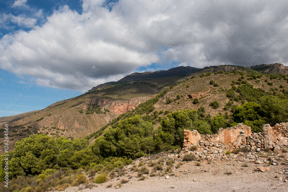 beautiful landscape in the mountains