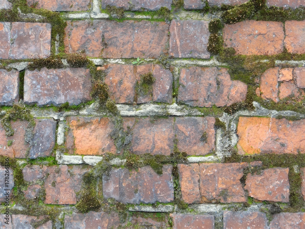 Fototapeta premium Texture of brick wall.