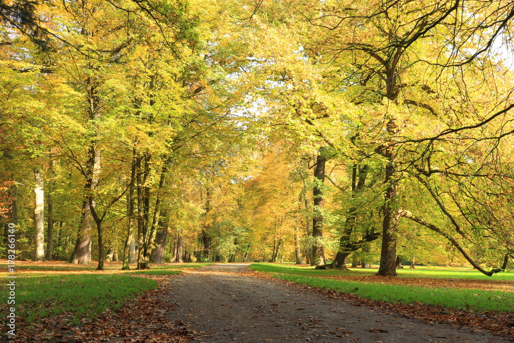 Naklejka premium Die Karlsaue in Kassel