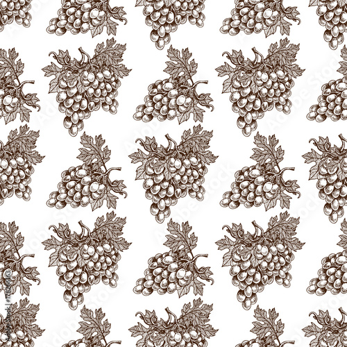 Bunches of grapes grow hand drawn viticulture vector illustration sketch seamless pattern nature food juicy berry.