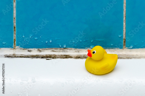mold in bath, a duck toy, bathroom photo