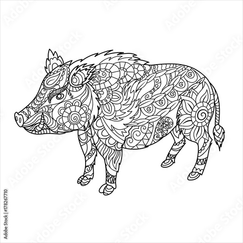 Wild boar coloring book. Forest animal in doodle style. Anti-stress coloring for adult. Zentangle picture. Vector illustration.