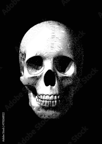 Old monochrome engraving skull illustration on dark BG