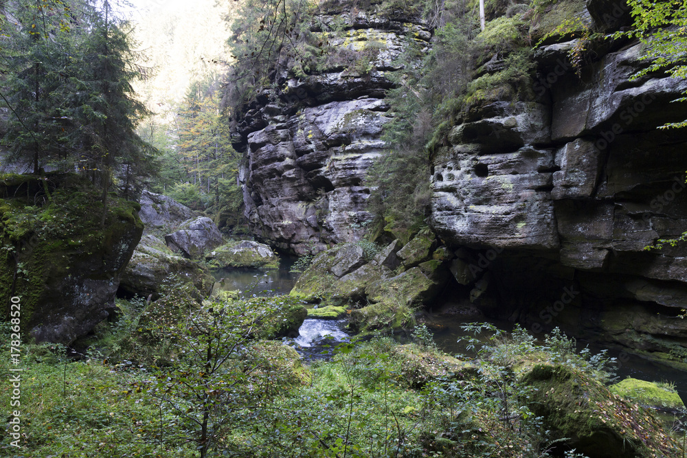 Wild autumn Landscape around the Creek Kamenice in the Czech Switzerland with Sandstone Boulders, Czech Republic