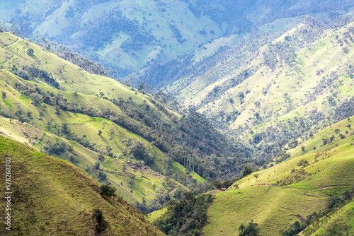 Landscape Near Salento  Colombia