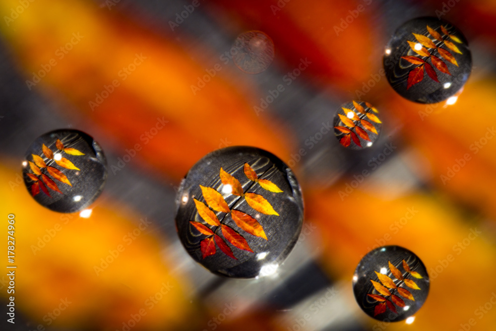 Fototapeta premium Water drop reflection