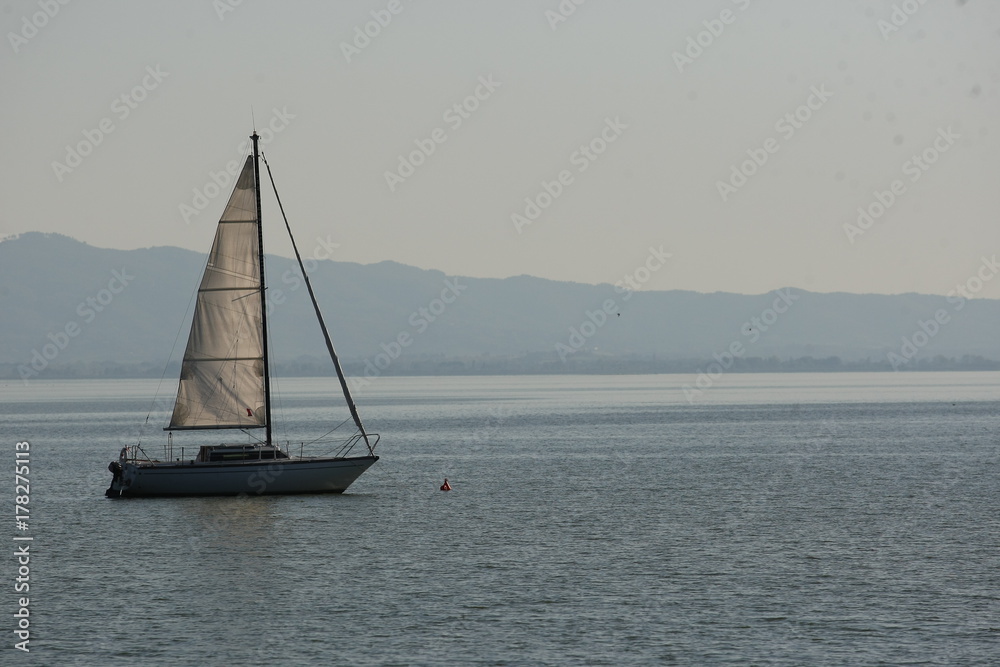 bARCA A VELA