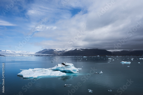 Iceberg in the glacial lagoon Jokulsarlon  Iceland
