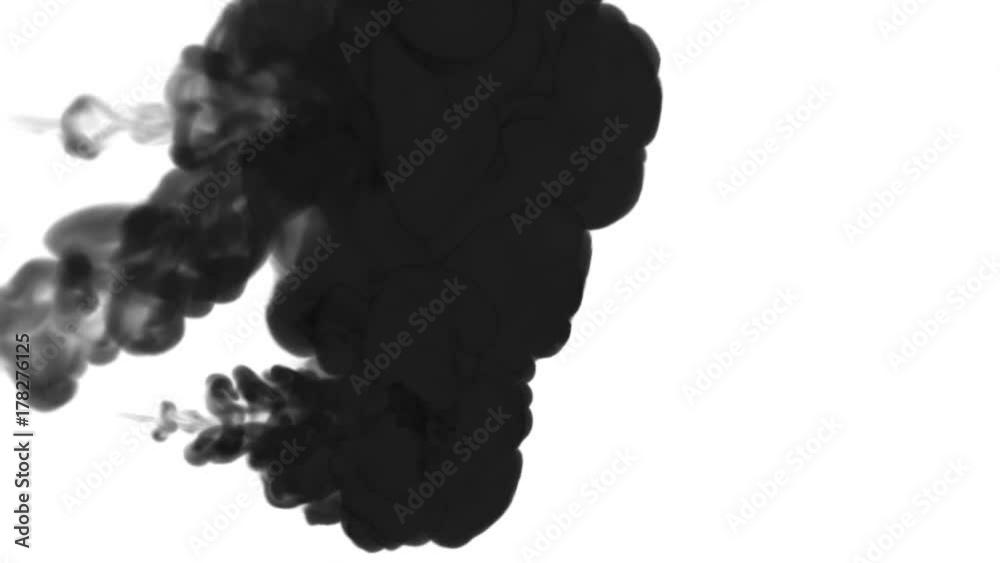 black clouds or smoke, ink inject is isolated on white in slow motion. Black colour scatter in water. Inky background or smoke backdrop, for ink effects use luma matte like alpha mask black clouds or smoke, ink inject is isolated on white in slow motion. Black colour scatter in water. Inky background or smoke backdrop, for ink effects use luma matte like alpha mask