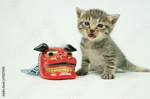 獅子舞と子猫（お正月）