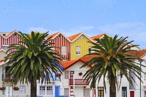 two palm trees among the colored striped houses photo