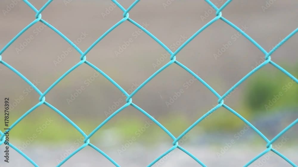 Close-up of a colored green fence from a mesh netting Close-up of a colored green fence from a mesh netting