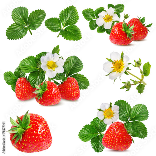 strawberry and strawberry flower isolated on white background