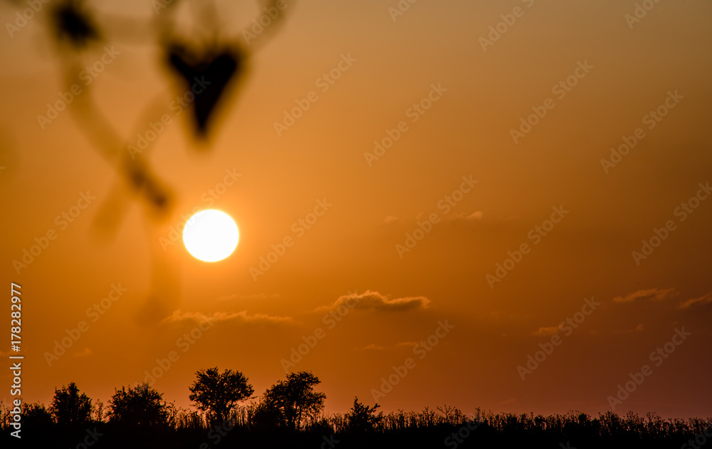 Fototapeta premium Romantic Sunset, Carmel Park, Israel