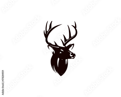Vászonkép Deer