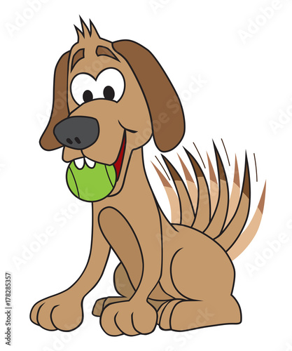 Dog with ball is ready to play