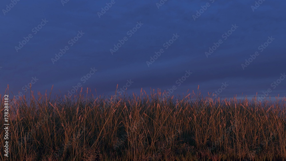 Grassy Hill At Sunset, Sky Background, Realistic 3D Render
