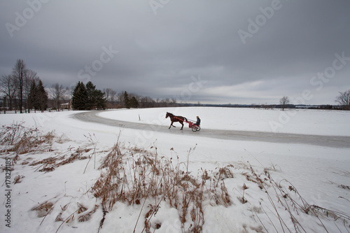 horse and sulky rider on icy path on stormy winter day
