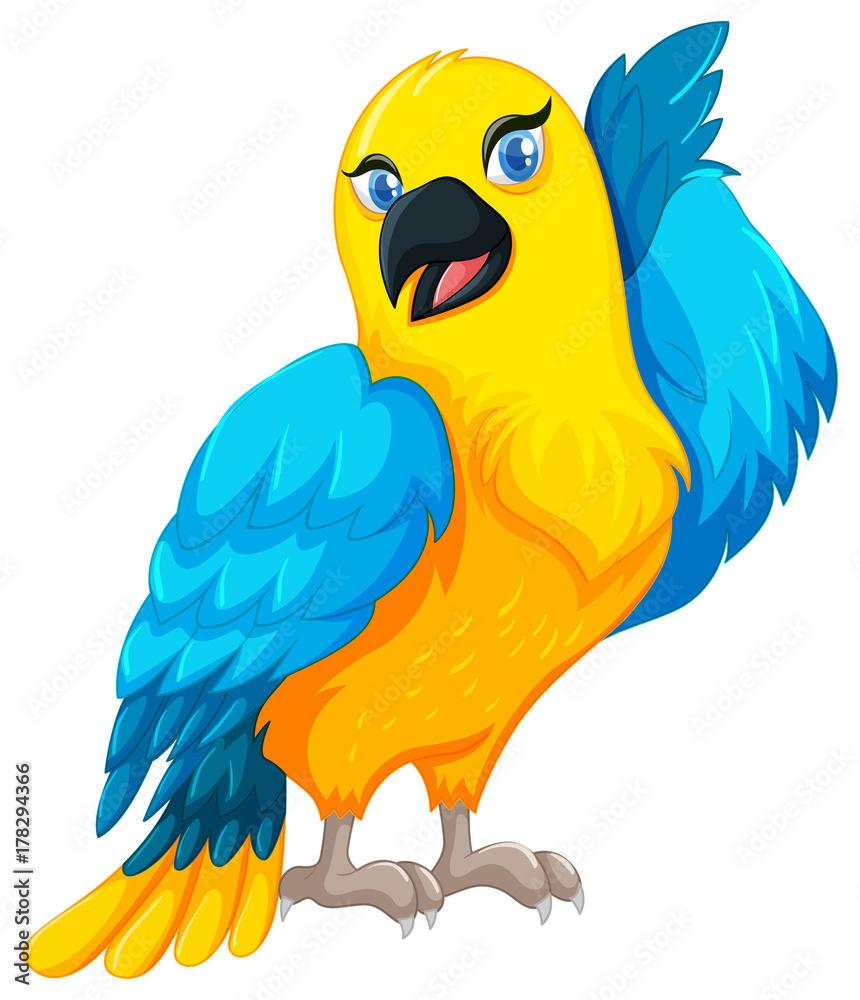 Obraz premium Parrot bird with yellow and blue feather
