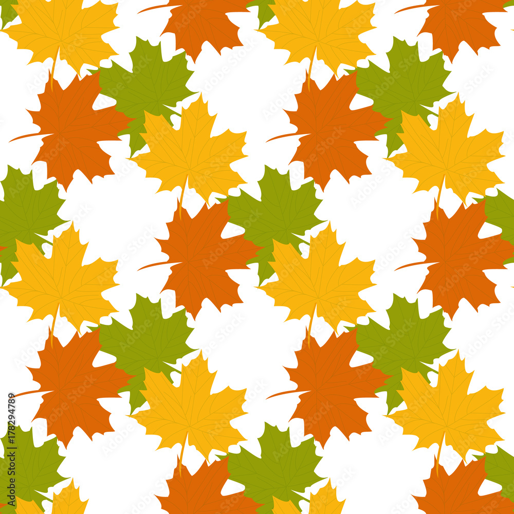 Vector seamless background: a lot of maple autumn leaves on white