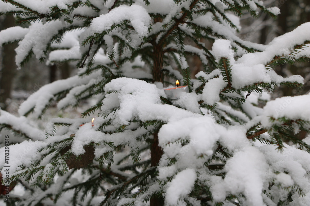 Christmas tree in the forest covered with snow with burning candles on the branches