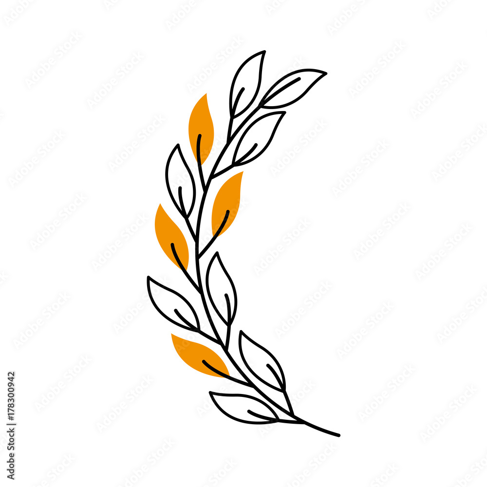 laurel decoration branch ornament image