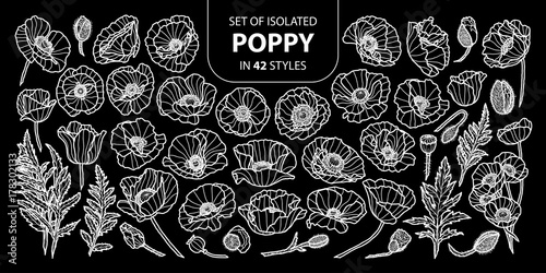 Set of isolated poppy in 42 styles. Cute hand drawn flower vector illustration only white outline.