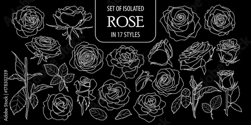 Set of isolated rose in 17 styles. Cute hand drawn flower vector illustration only white outline.