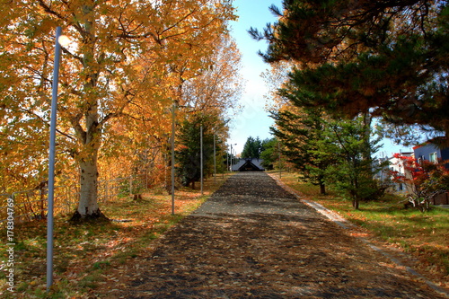 Sapporo Autumn Promenade