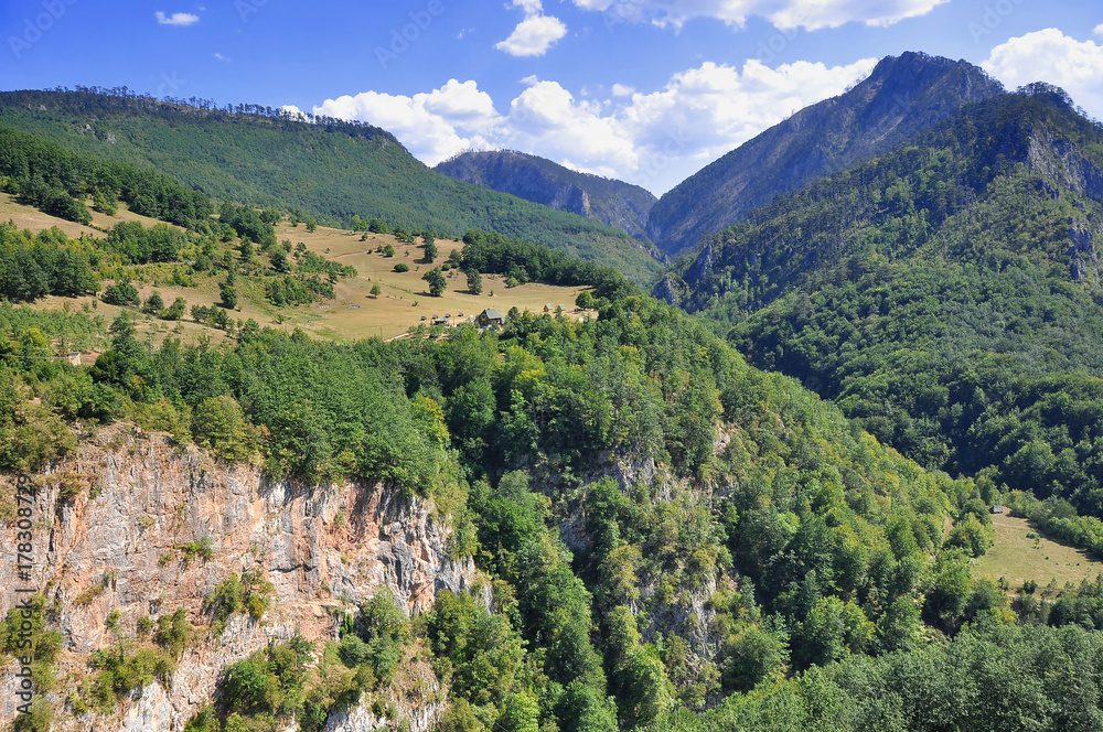 Fototapeta premium Montenegro. The Tara river canyon