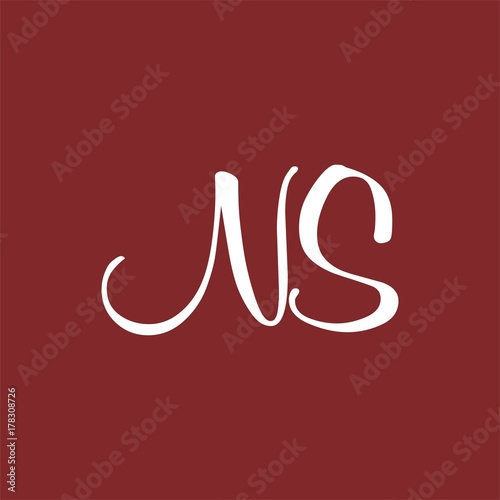 NS logo letter design template vector