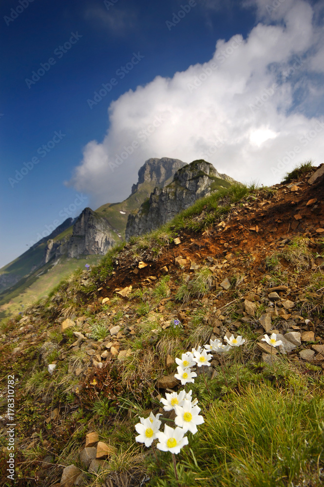 Tatry Bielskie  Wiosna