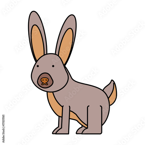 cartoon rabbit icon © djvstock