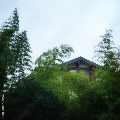 Bamboo House © Vincent Sun