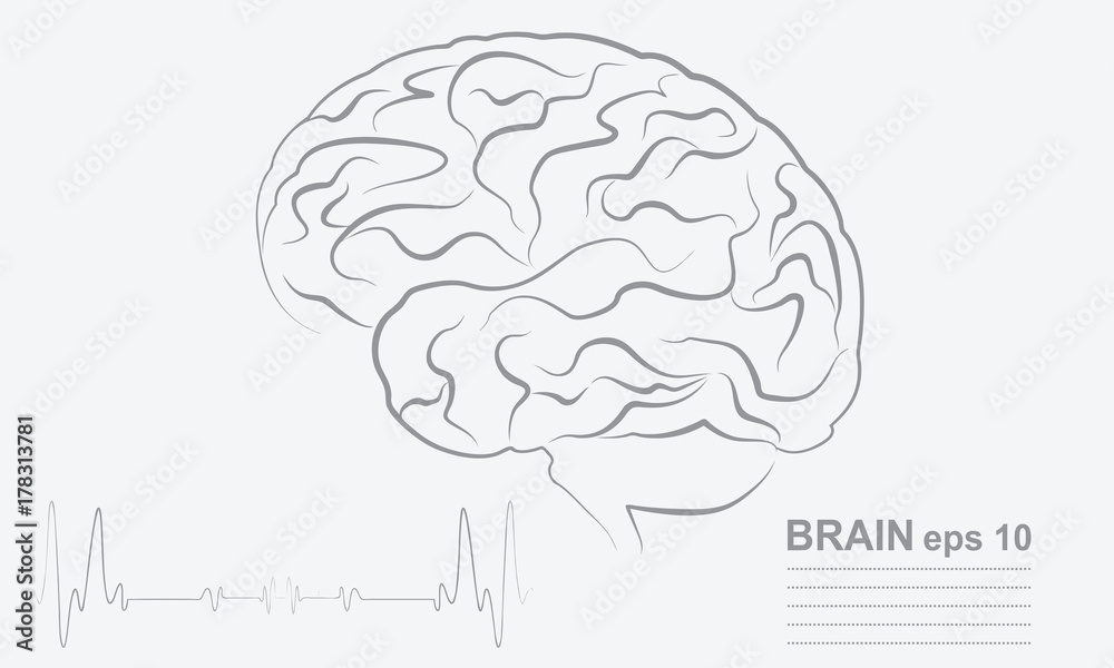 black & white human brain-vector drawing, eps 10 black & white human brain-vector drawing, eps 10