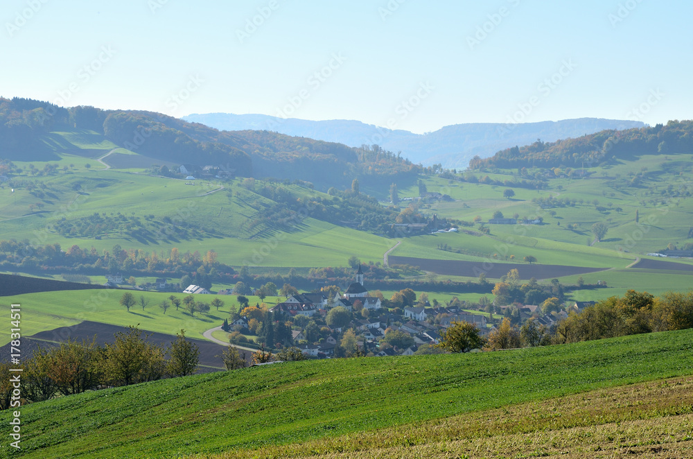 Landschaft Wiesen und Felder Arisdorf