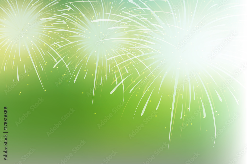 Obraz premium Holiday fireworks on dark background.