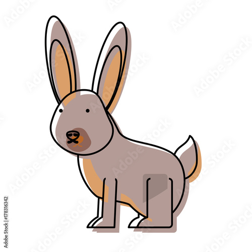 cartoon rabbit icon © djvstock