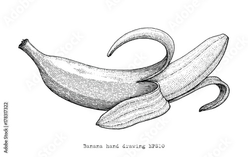 Banana hand drawing engraving style,Banana black and white clipart