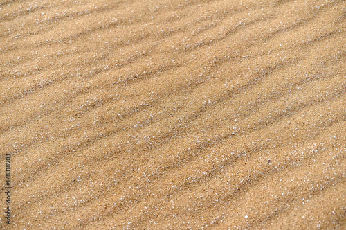 Sands on the beach. A beach is a landform along a body of water. It usually consists of loose particles, which are often composed of rock, such as sand, gravel, shingle, pebbles.