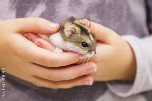 girl with hamster in hands