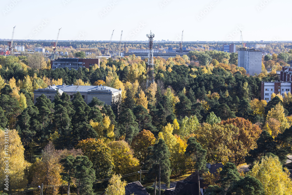 autumn background with colored leaves of the tree latvia view from ziemelblazma tower