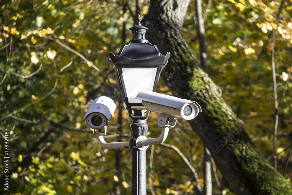 Security cctv cameras in the park autumn background