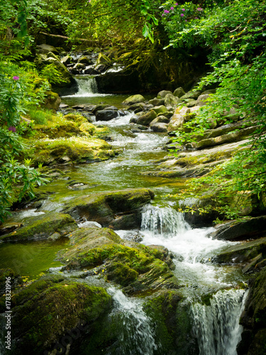 Fototapeta Naklejka Na Ścianę i Meble -  Waterfalls in green Ireland