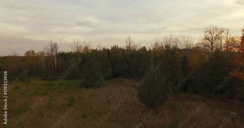 Rising shot from small clearing to big forest with fall colors. Rising shot from small clearing to big forest with fall colors.
