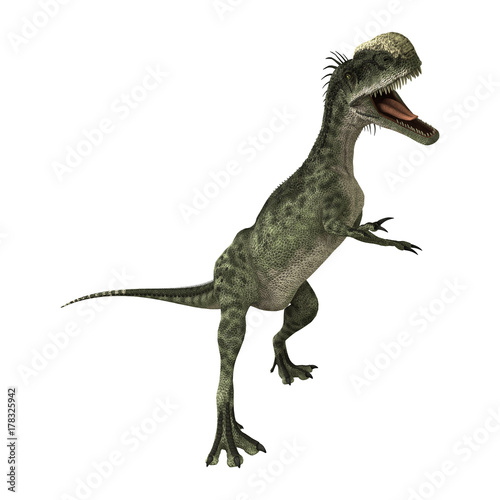 3D Rendering Dinosaur Monolophosaurus on White © photosvac