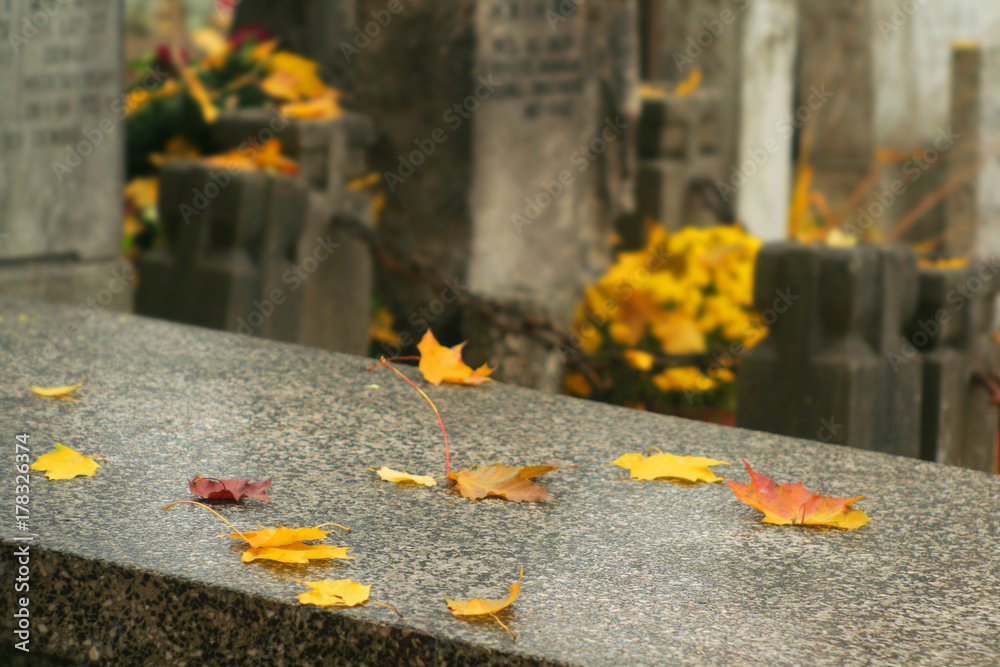 Tombstones with yellow leaves on them and yellow flowers in the background