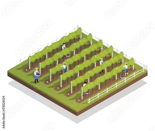 Viticulture Isometric Composition