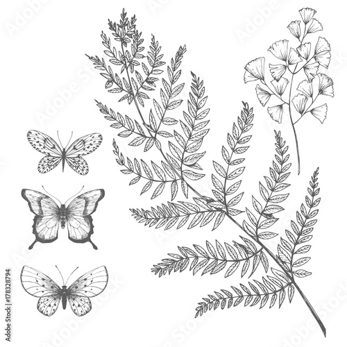Vector floral set